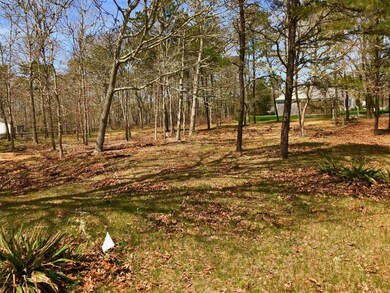 4 Cassandras Path, Edgartown, MA 02539 - photo 4