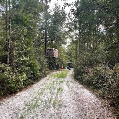 XXX Danley Grade, Crawfordville, FL 32327 - photo 4