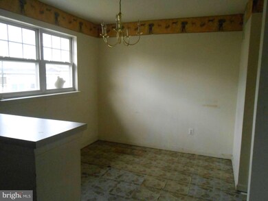 703 W Cherry Blossom Way, Baltimore, MD 21201 - photo 5