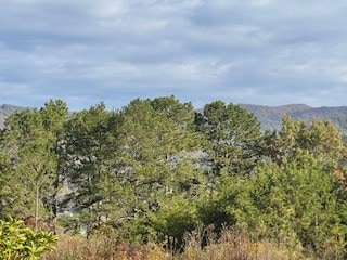 Lot 6 Jay Bird Trail, Franklin, NC 28734 - photo 3