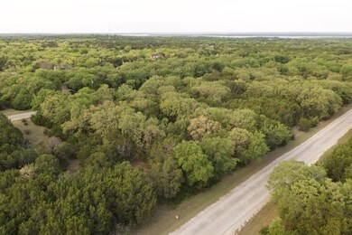 44191 Clearview Dr, Whitney, TX 76692 - photo 2