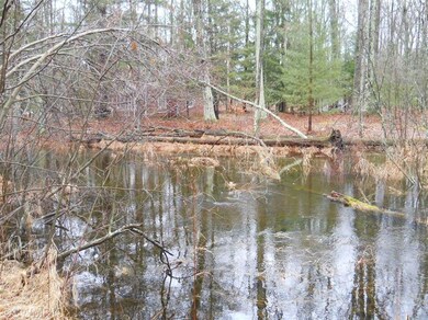 1414 Beaver Rd, Lilley Township, MI 49309 - photo 2