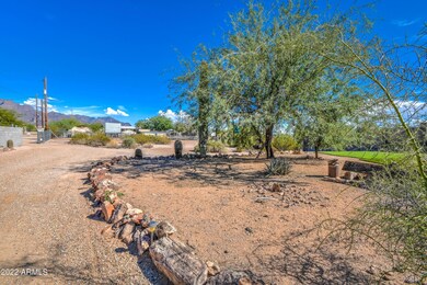 CACTUS YARD AND DRIVE AREA