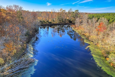 4099 Randall Hunt Rd, Dearing, GA 30808 - photo 3
