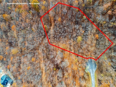 242 Nottingham Dr, Mill Spring, NC 28756 - photo 4