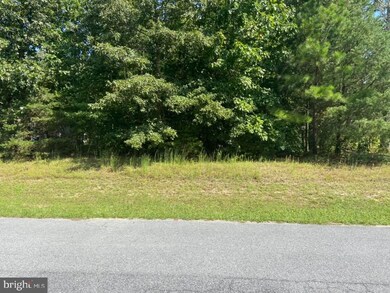 0 Forsythia Dr unit DESU167914, Georgetown, DE 19947 - photo 5