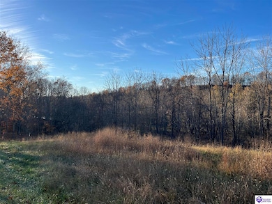 8AC Tucker Rd, Greensburg, KY 42743 - photo 3