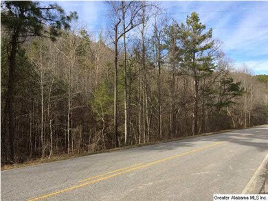 Lots of road frontage on Valley Grove Road.