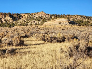 0 Banco Rd, La Jara, NM 87027 - photo 3