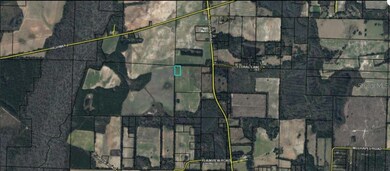 0 S Old U Rd unit MFRO6280061, Marianna, FL 32446 - photo 4