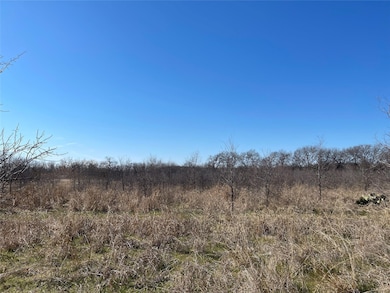 The tall trees in the distance give an approximate