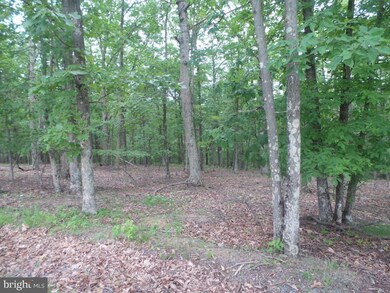 0 Timber Ridge unit WVMO115470, Berkeley Springs, WV 25411 - photo 2