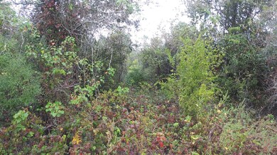 1635 Algoa Rd, Algoa, TX 77511 - photo 4