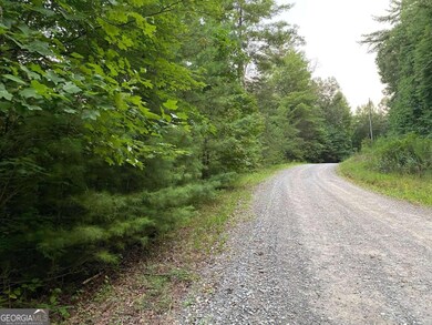 0 Whitecliff Dr unit 10371196, Ellijay, GA 30540 - photo 4