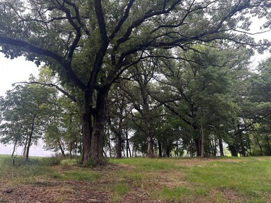 grand oak