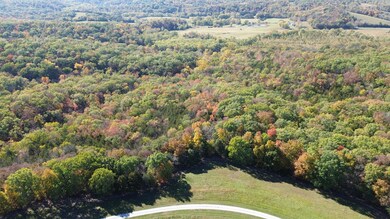 DJI_0130