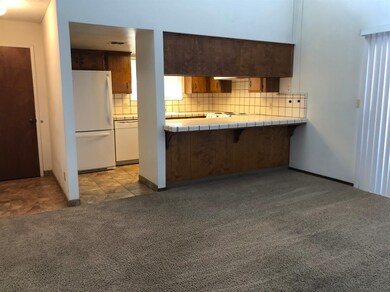 1172 S 5th Ave, Kingsburg, CA 93631 - photo 5