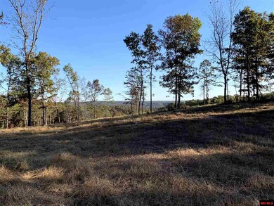 00 Tomahawk Slab Rd, Saint Joe, AR 72675 - photo 3