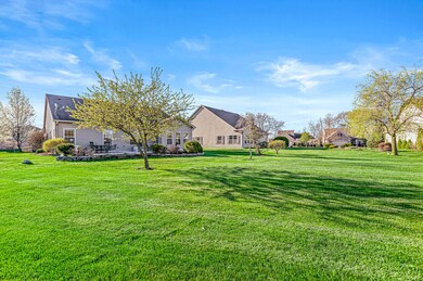 Alternate view of backyard.