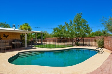 Pool with Safety Fence