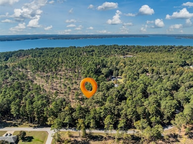 Lot 4 Pintail Dr, Flint, TX 75762 - photo 2