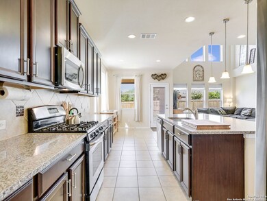 3746 Ox-Eye Daisy, San Antonio, TX 78261 - photo 6