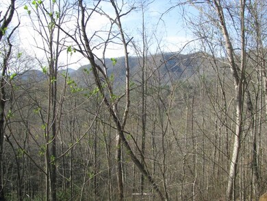 Scene from Deck