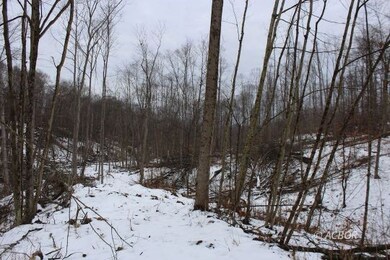 Mann Rd