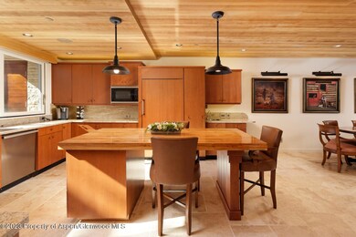 100 E Cooper Ave unit 6, Aspen, CO 81611 - photo 4