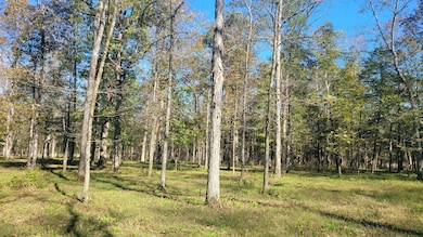 6 Pass Rd, Shelbyville, TN 37160 - photo 3