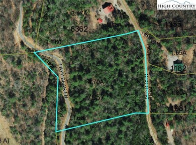 63 Deer Run, Purlear, NC 28665 - photo 3