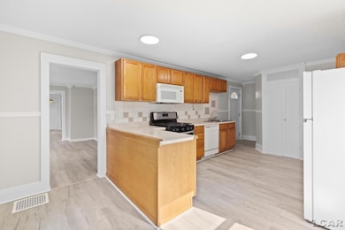 516 E Hunt St, Adrian, MI 49221 - photo 4