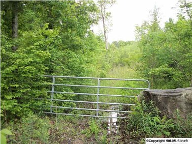gate and access road to food plot 1