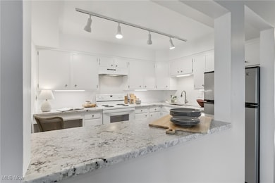 2039 Wooster Rd unit D31, Rocky River, OH 44116 - photo 7