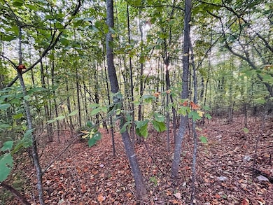 TBD Morning Side Trail, Fancy Gap, VA 24328 - photo 4