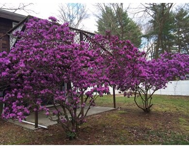 25 Putney Cir, Billerica, MA 01821 - photo 2