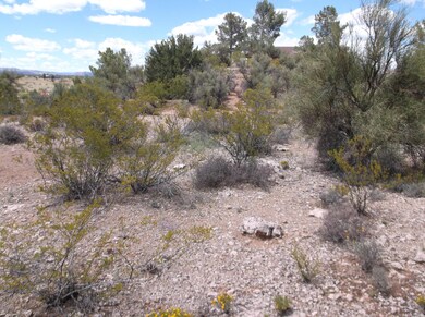 unlisted-address, Cornville, AZ 86325 - photo 4