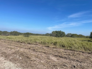 unlisted-address, Freer, TX 78357 - photo 5