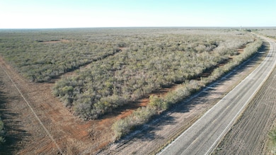 0 Fm 716 unit 20255320, Realtitos, TX 78376 - photo 2