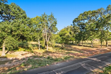 18231 Woodstream Crossing Rd Rd, Montgomery, TX 77316 - photo 2