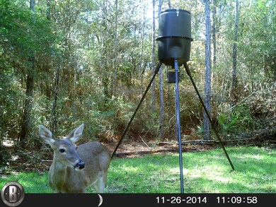 HUNT0084