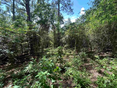 10790 Cattle Branch Ct unit 10, Mobile, AL 36608 - photo 4