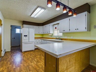 680 NE 2nd St, Cedaredge, CO 81413 - photo 5