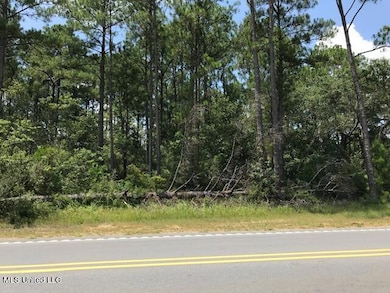 0 Hwy 57 unit 4034427, Vancleave, MS 39565 - photo 4