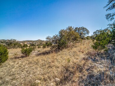 10411 Doherty Springs, San Antonio, TX 78255 - photo 6