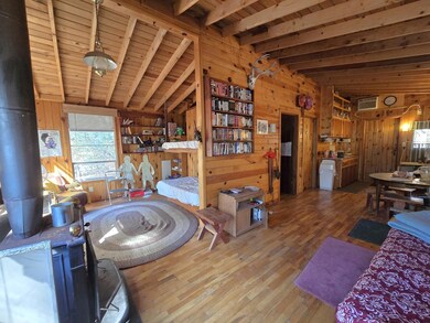 3947 Orloff Rd, Pine, AZ 85544 - photo 3