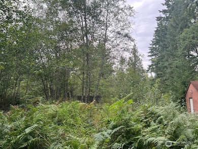 8822 Sherman Valley Rd SW, Olympia, WA 98512 - photo 6