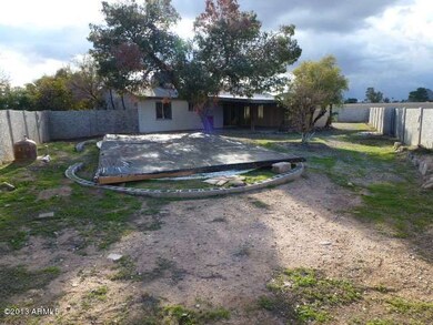 023-339747 - Backyard 6