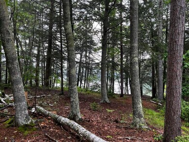 0 Ardan Rd unit 1532439, Boothbay, ME 04537 - photo 4
