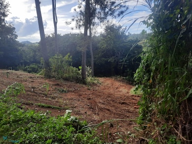 Km 1.65 Calle Reinita unit Parcela A, Moca, PR 00676 - photo 3